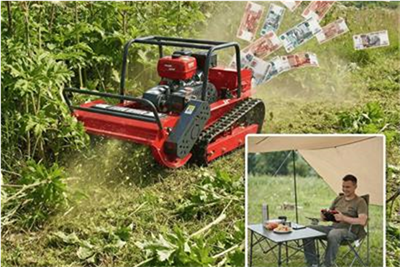 «Как заработать 1 млн руб за сезон на уничтожении борщевика»